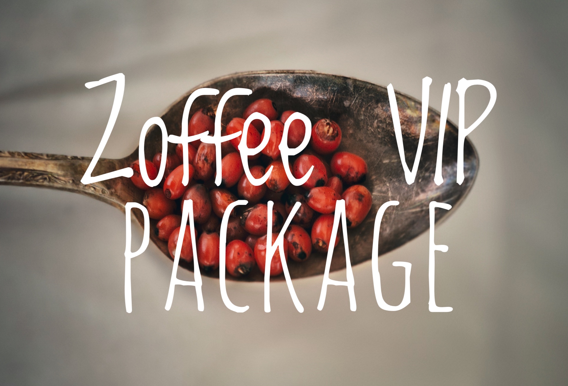 Zoffee Gift Card